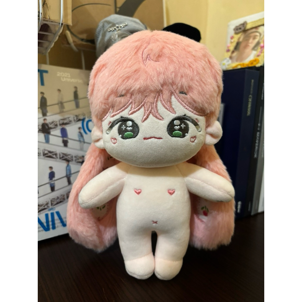 Doll Jaemin NCT 20cm Jaemin Human Doll Rosena