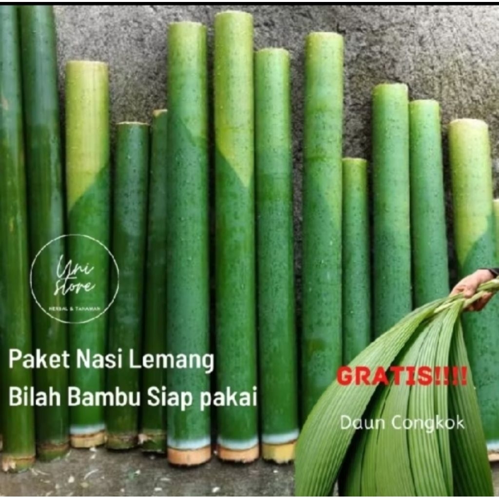 Paket Lemang Nasi Lemang Nasi Leumeung Bambu Lemang Bambu Leumeung + Daun Congkok.