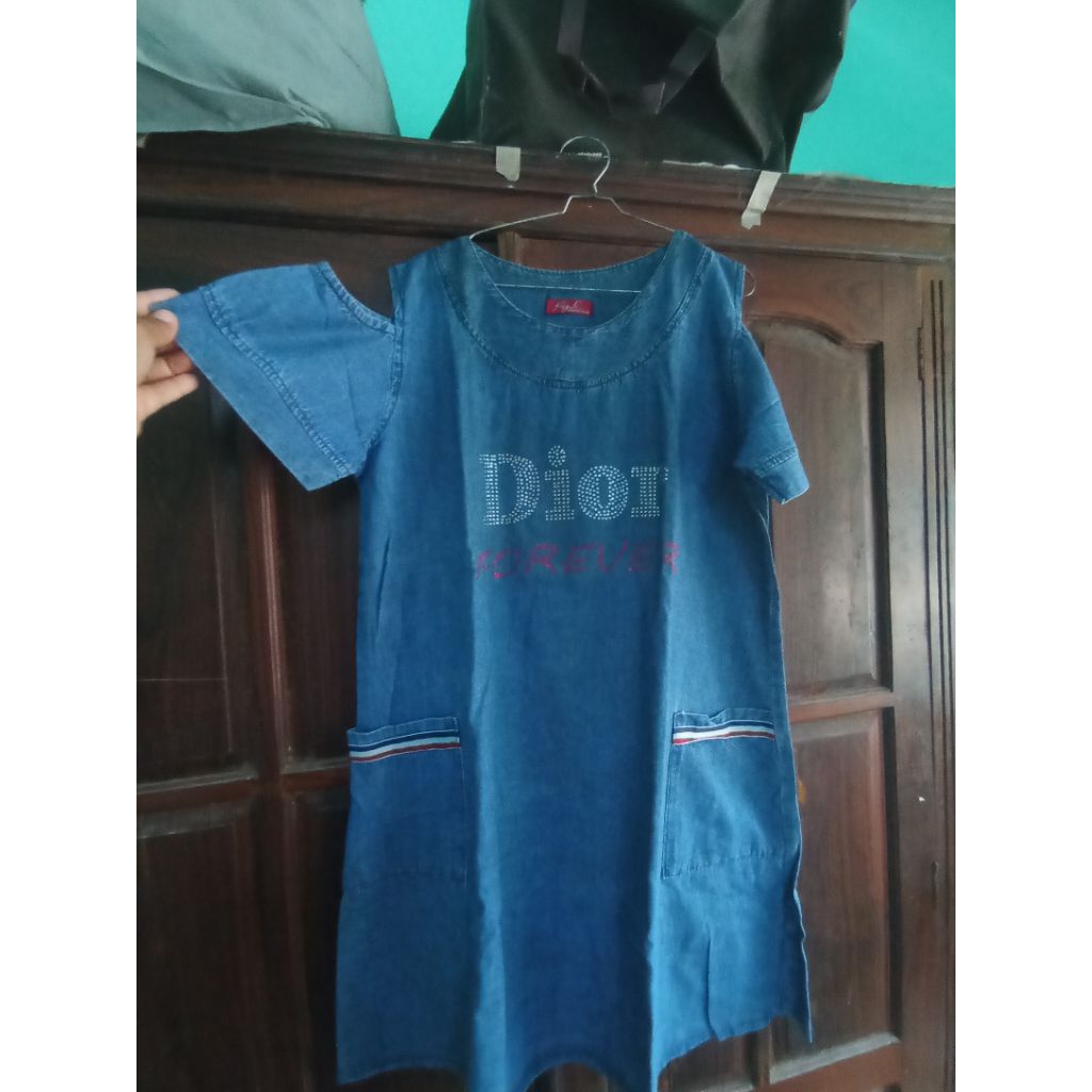 PL dress dior denim