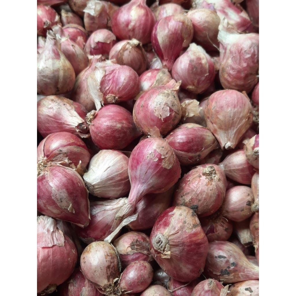 Bawang Merah Segar 1 kg 500g 250g asli kulon progo - Kering, Segar, dan Siap Pakai