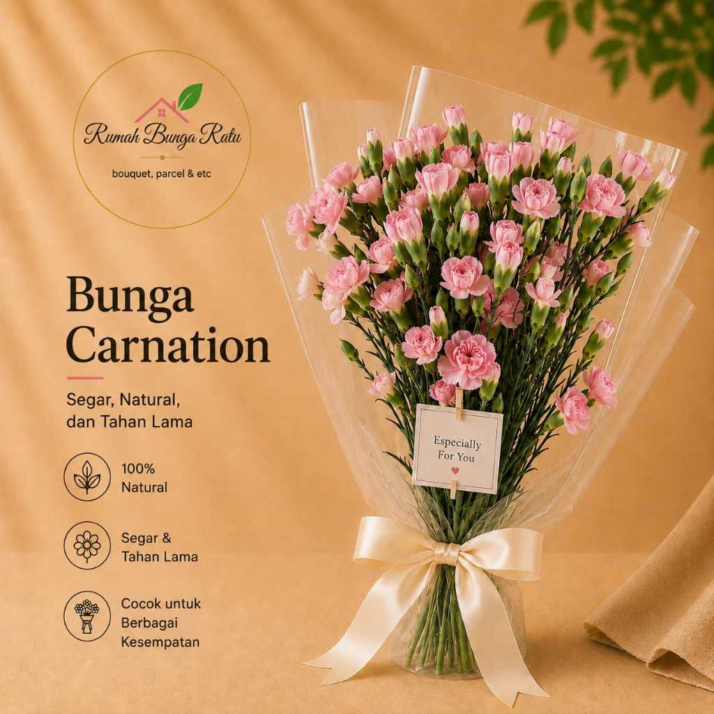 BUNGA CARNATION ANYELIR | BUNGA CARNATION PERIKET | CARNATION FRESH FLOWER BT07