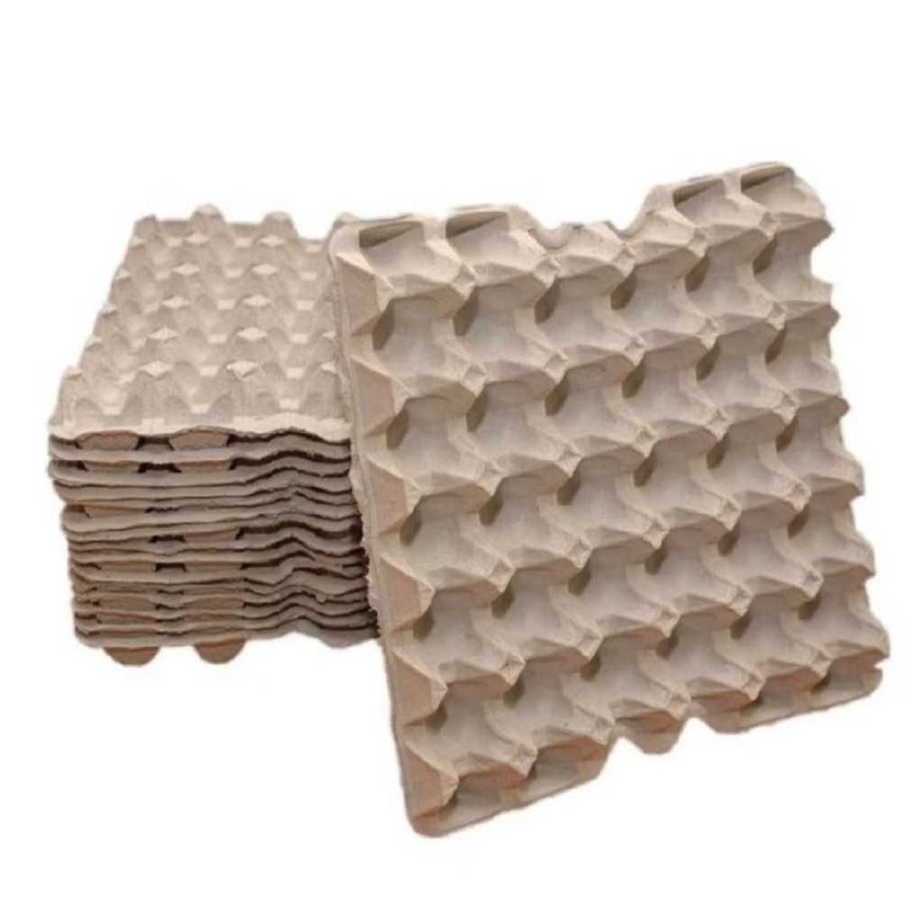 Egg Tray Karton Untuk Jangkrik