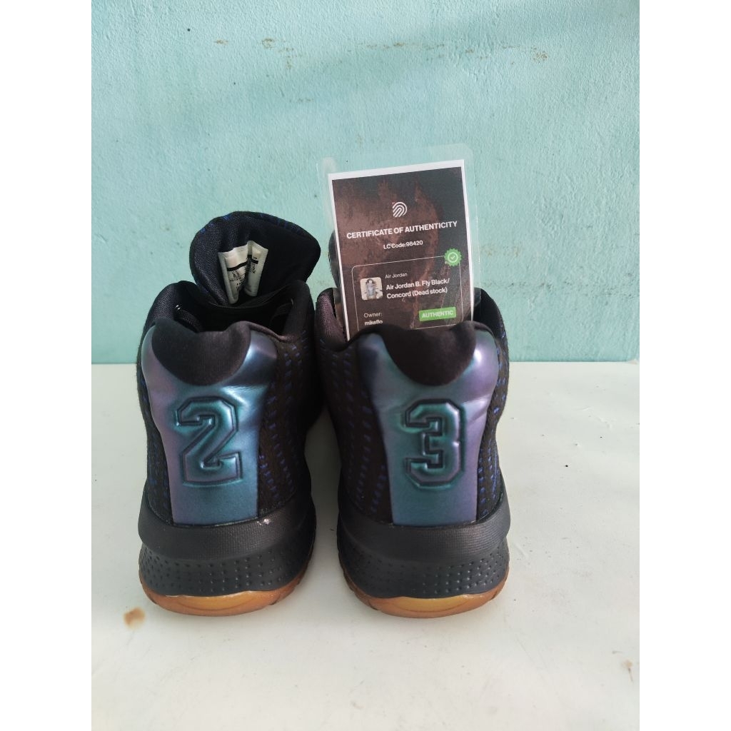 Nike Air Jordan B. Fly all star