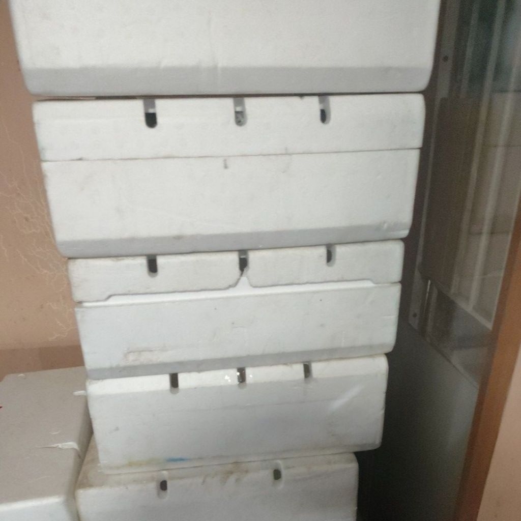Box Styrofoam Anggur Bekas