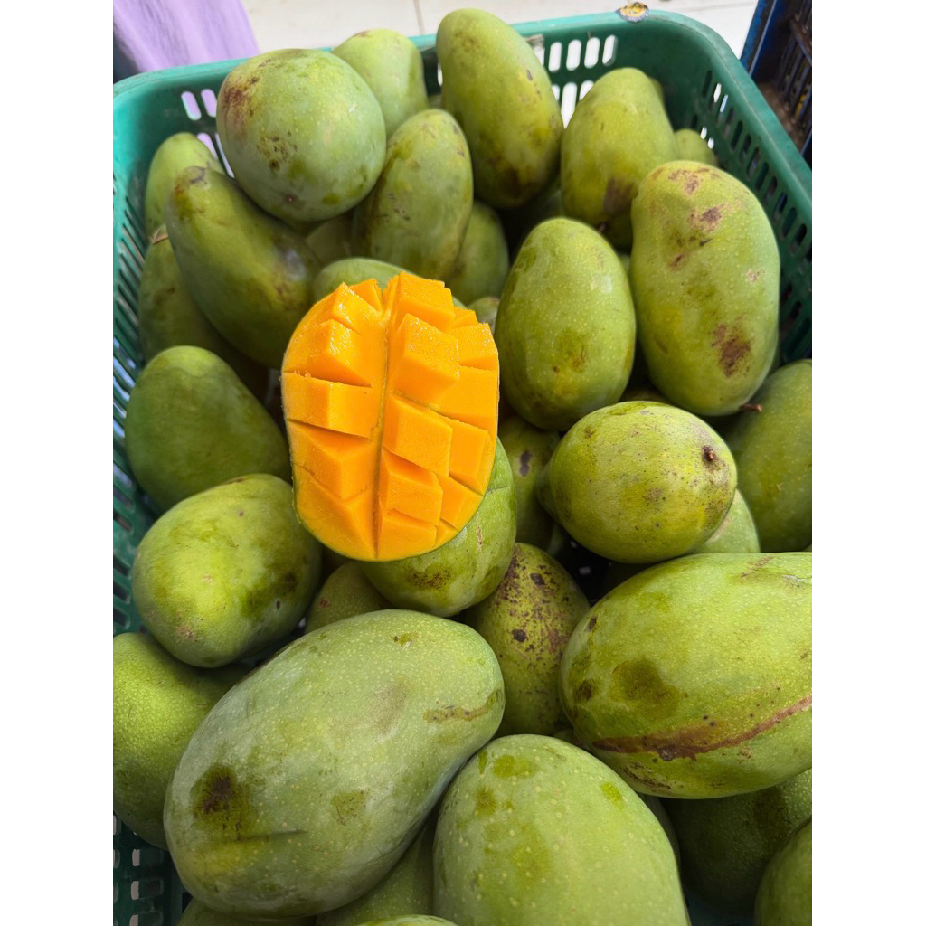 Mangga gadung kemampo 1kg