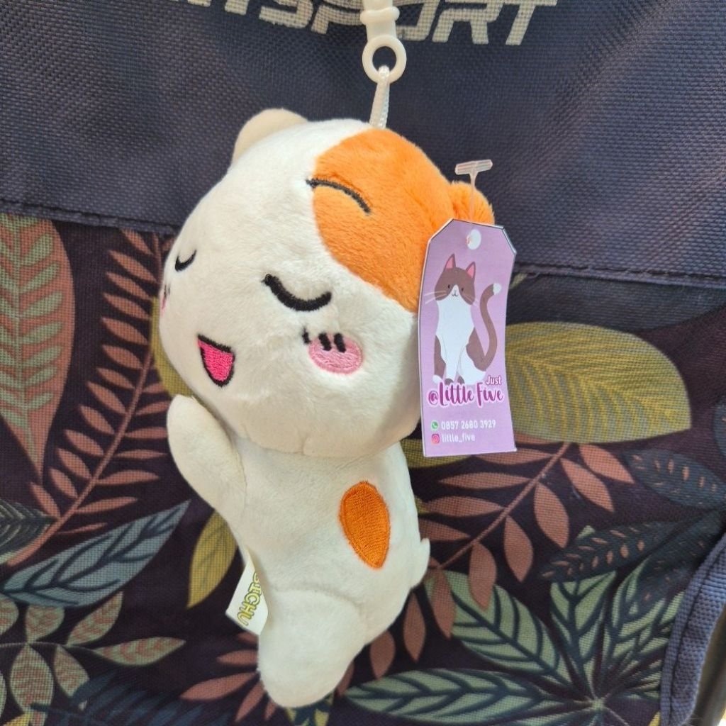 ganci ebichu