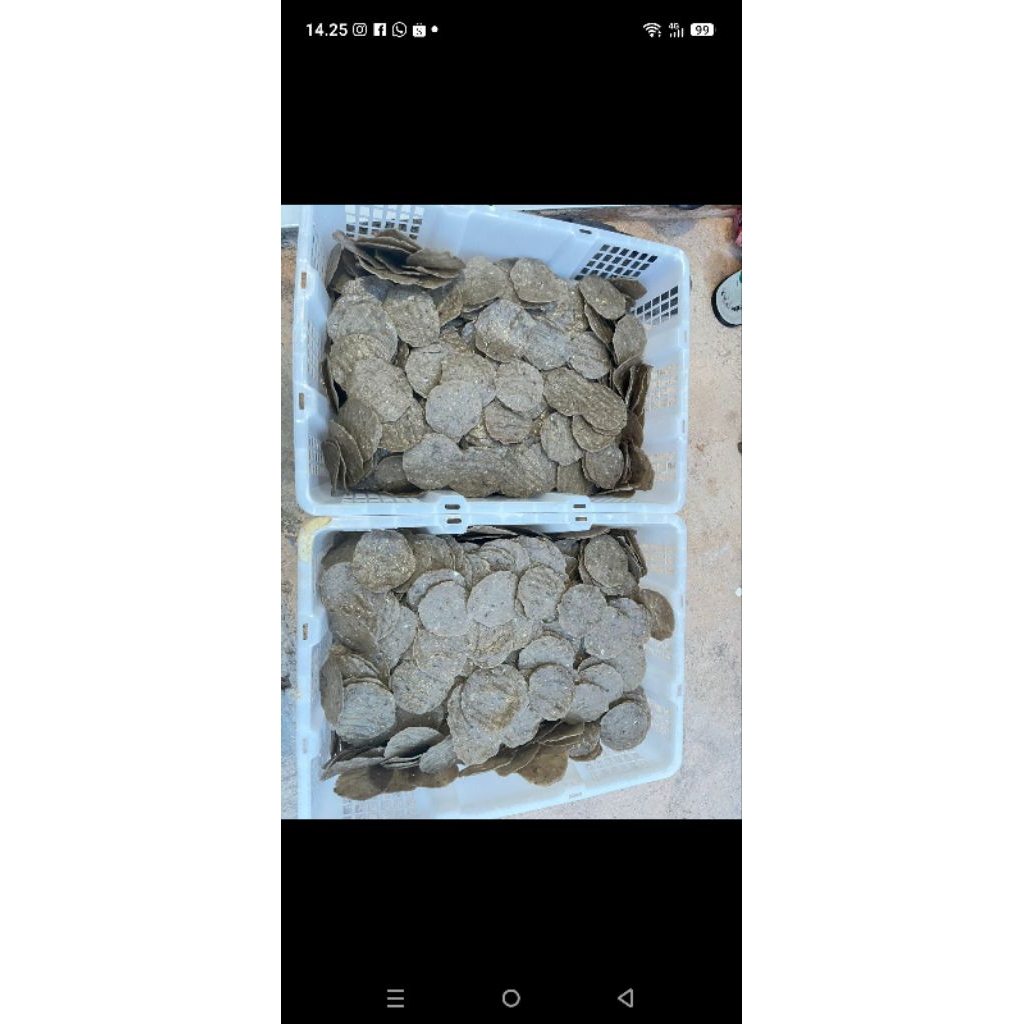 kemplang khas Ogan ilir