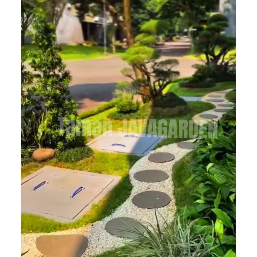 Taman Bonsai Cemara Udang