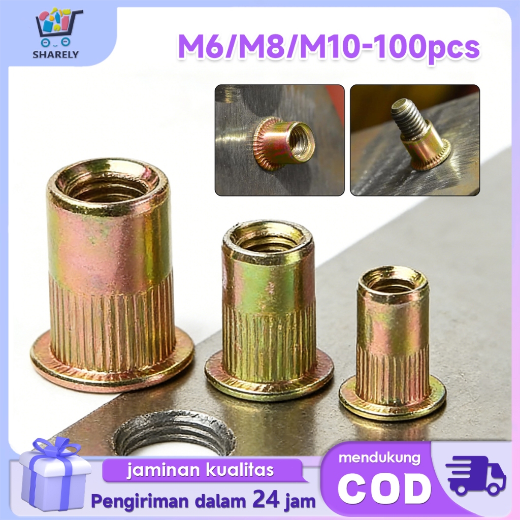 Rivet Nut 100pcs Mur Rivet Nut Tanam Carbon Steel M6 M8 M10 Mur Nut Tanam Mur Rivet Nutsert