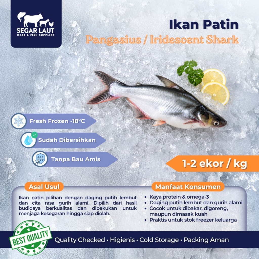 IKAN PATIN | FRESH FROZEN & SEGAR