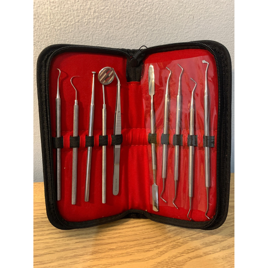 Dental Diagnostic Set Schezer (10 pcs)