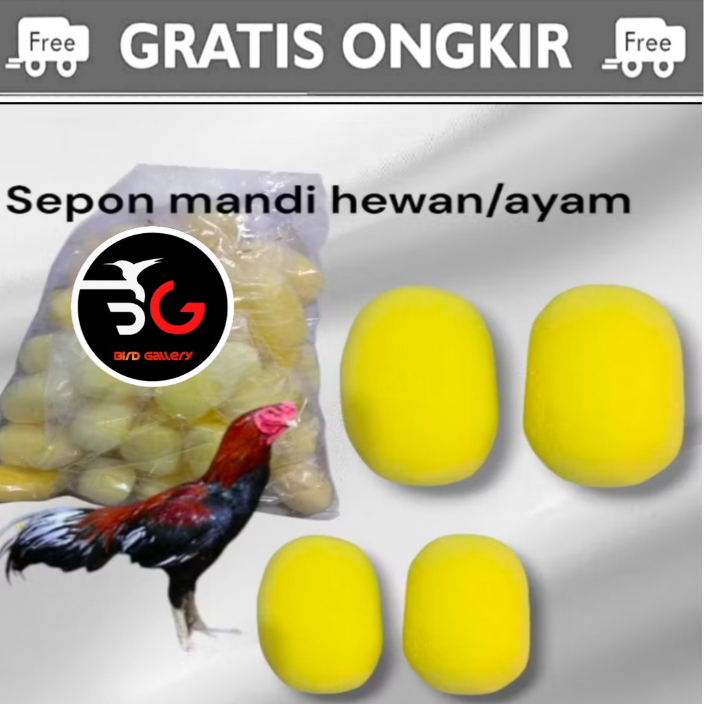 SPON AYAM BANGKOK  SPON MANDI AYAM