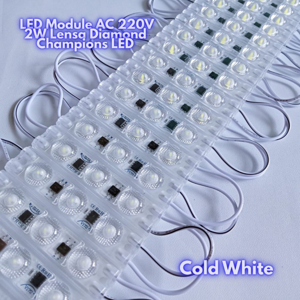 LED Module Diamond AC 220V IP65 2W