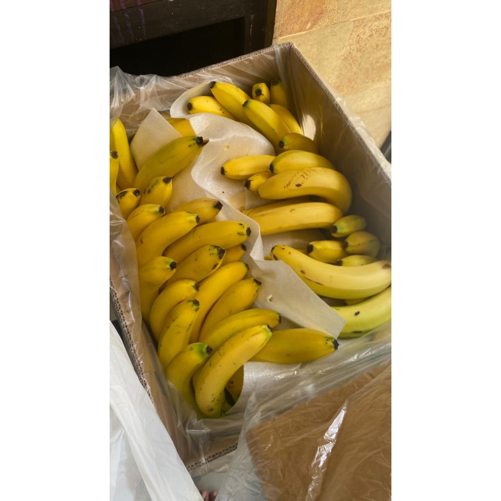 pisang cavendish sunpride