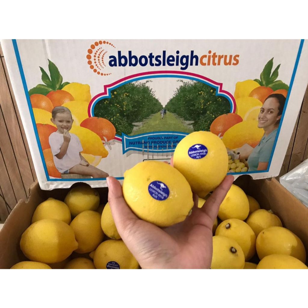 Lemon Import Premium Segar, Juicy & Kaya Vitamin C | 14kg