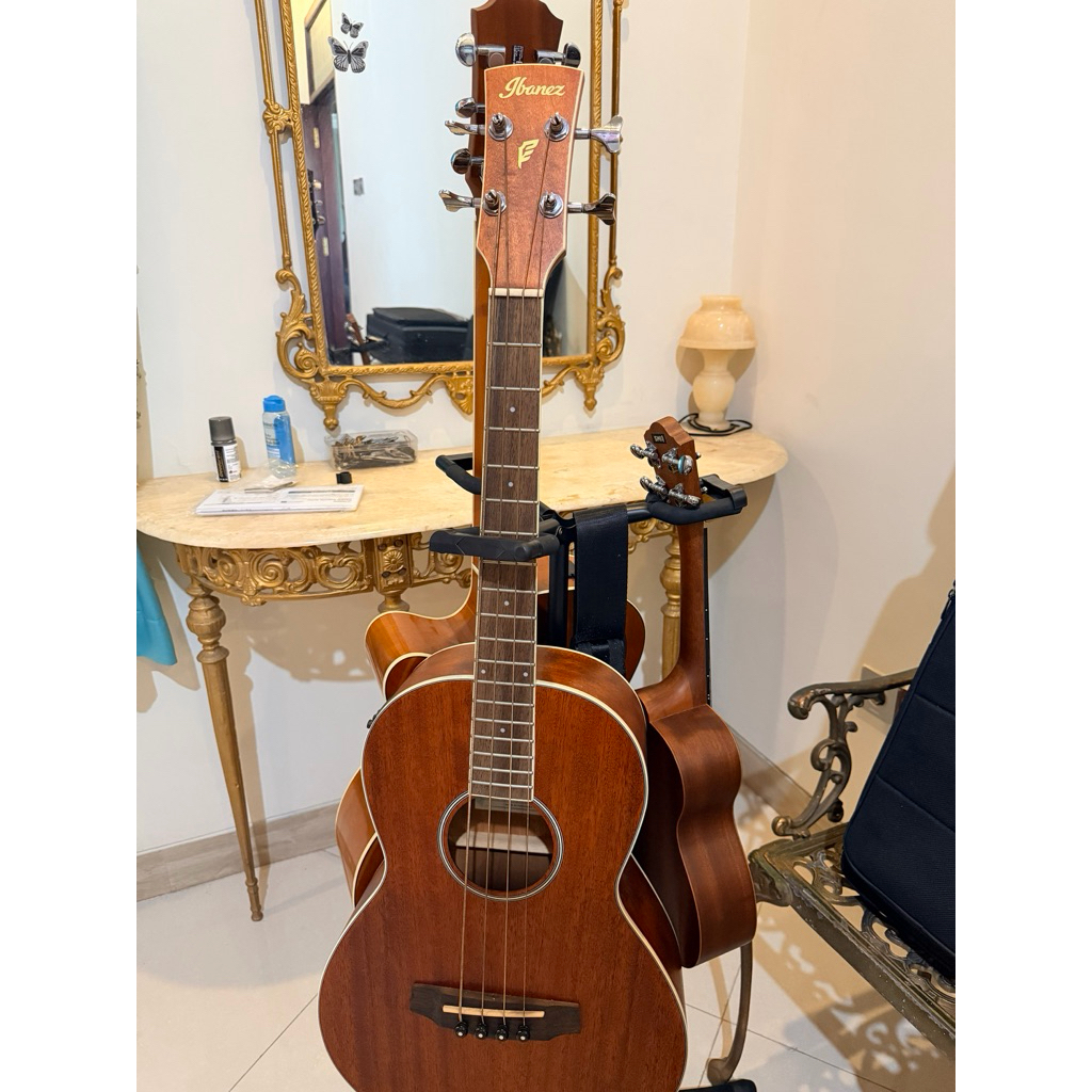 Bass Akustik elektrik Ibanez