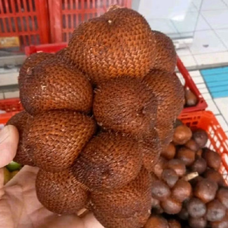 Buah Salak Gula Pasir | Salak Bali Super Manis Crunchy 1kg