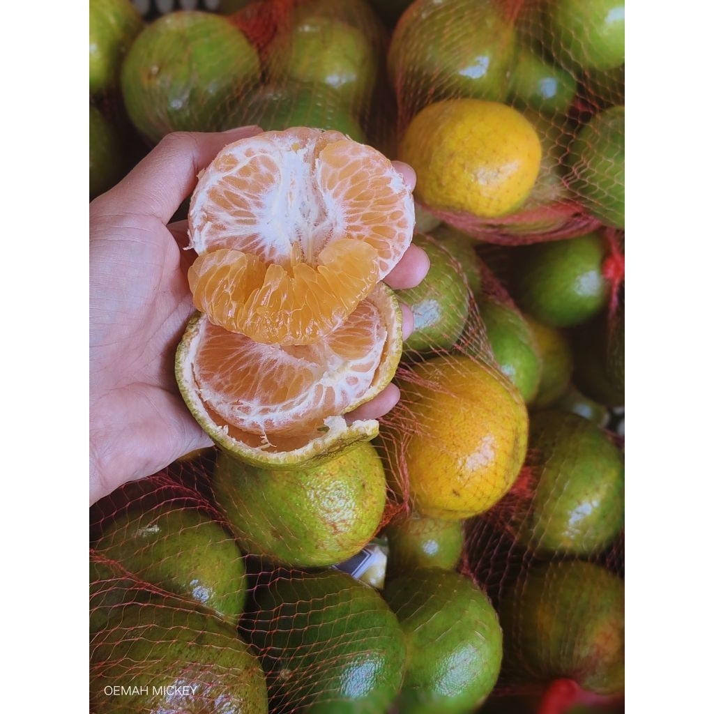 Jeruk Keprok Malang 2kg