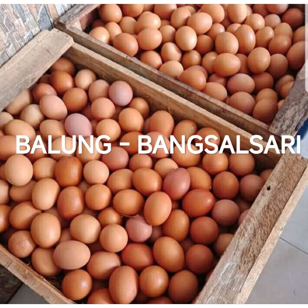 (BALUNG) TELUR AYAM NEGERI KG