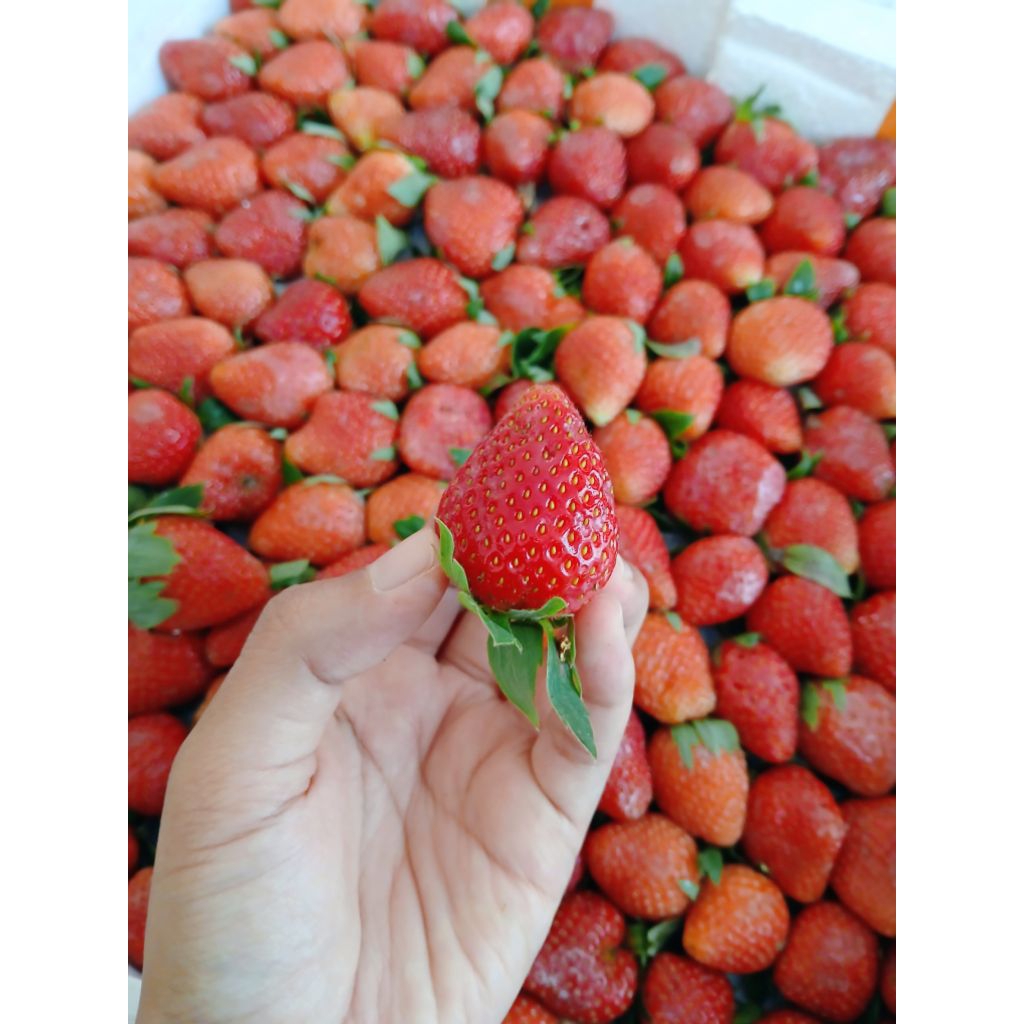 Strawberry ciwidey