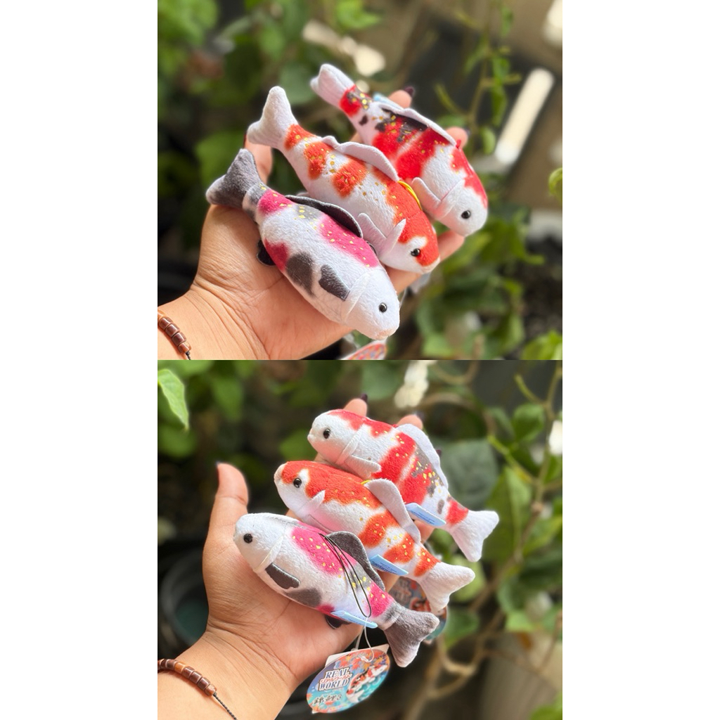 Ganci Ikan Koi Amuse,Ikan Amuse,Ganci Amuse Amufun