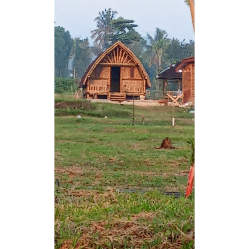 gazebo bambu