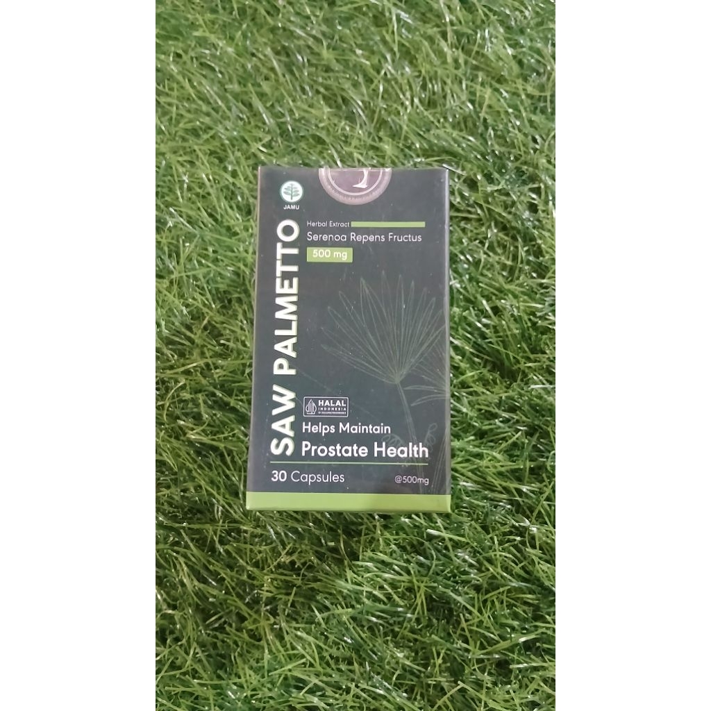 SAW PALMETTO