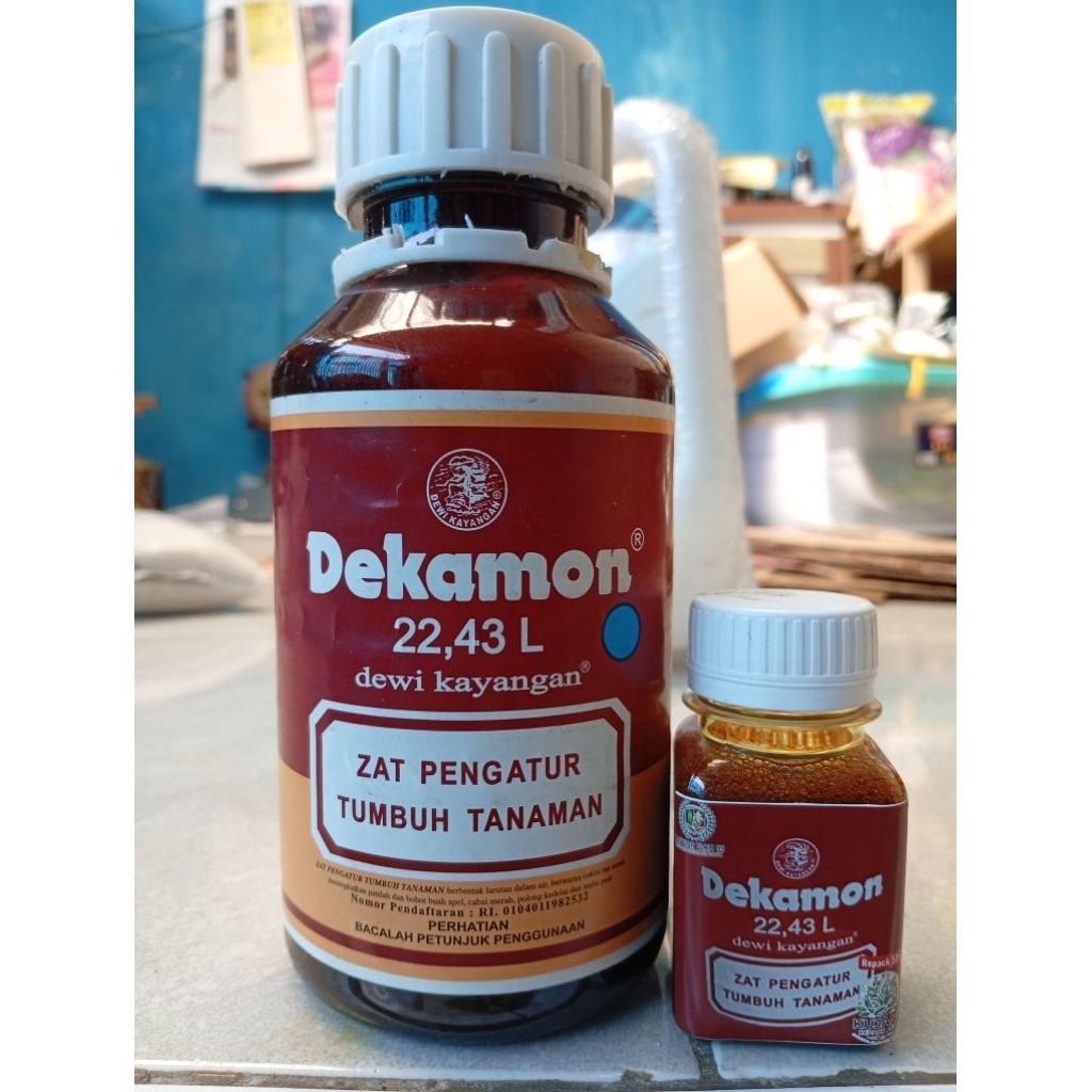 Dekamon 500 ml ZPT Buah Cabe dan Padi - Pupuk Pelebat Buah & Anti Rontok