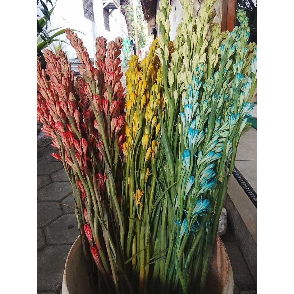 Bunga Sedap malam warna fresh 10batang