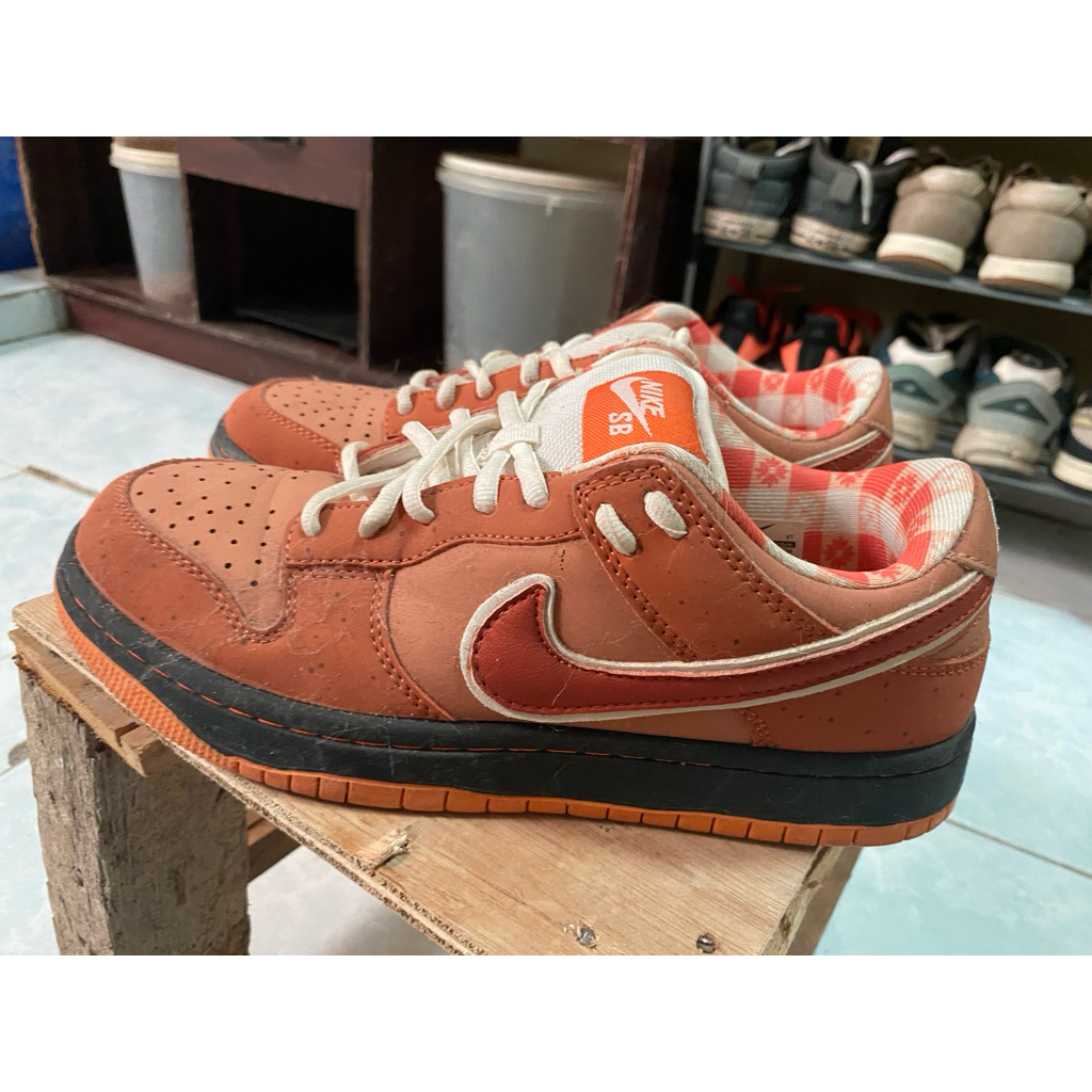 sepatu nike lobster bekas size 40