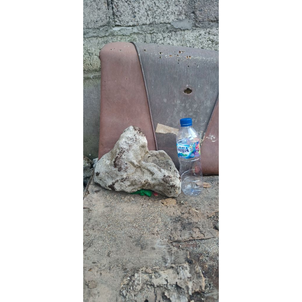 batu karang laut