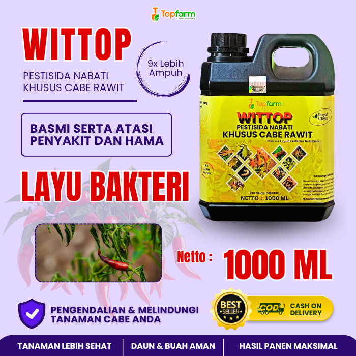Obat Layu Bakteri Cabe Rawit / Pestisida Topfarm / Obat Layu Pada Cabe / Pestisida Layu Bakteri Pada