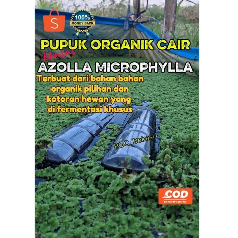 Pupuk Azolla Microphylla || Pupuk Organik Cair khusus Azolla || Azolla Pupuk 500ml