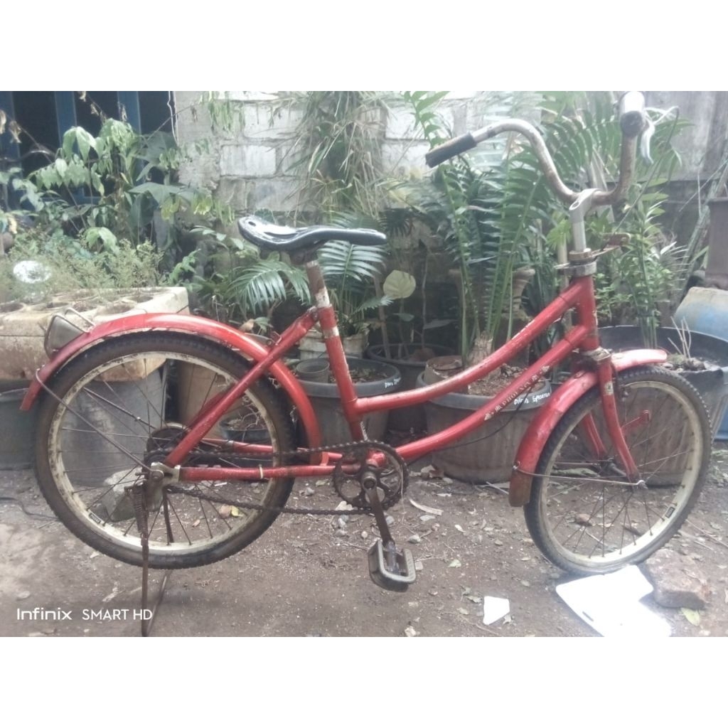 SEPEDA PHOENIX 20INCH PALANG 2,SEPEDA MINI,SEPEDA MINI PHOENIX