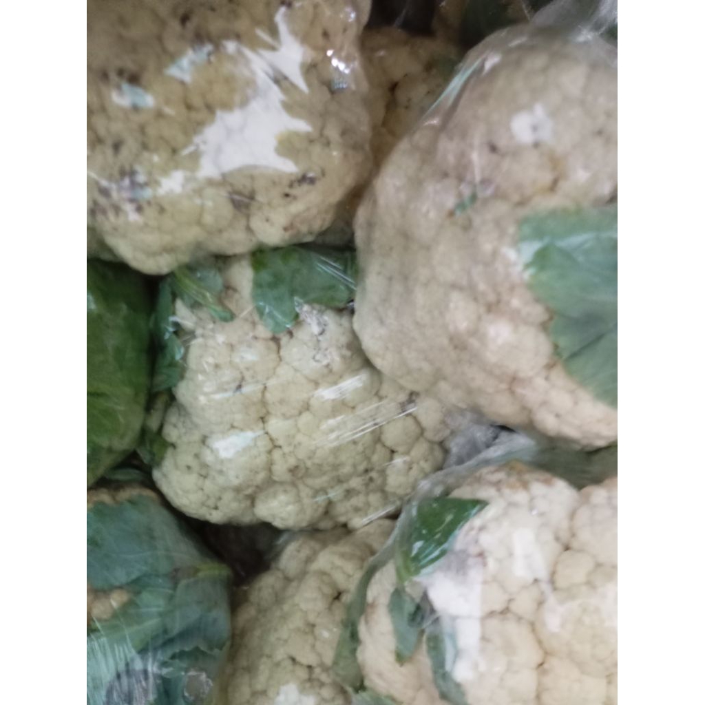 Sayur Bloomkol / Kembang kol / Bunga Kol segar