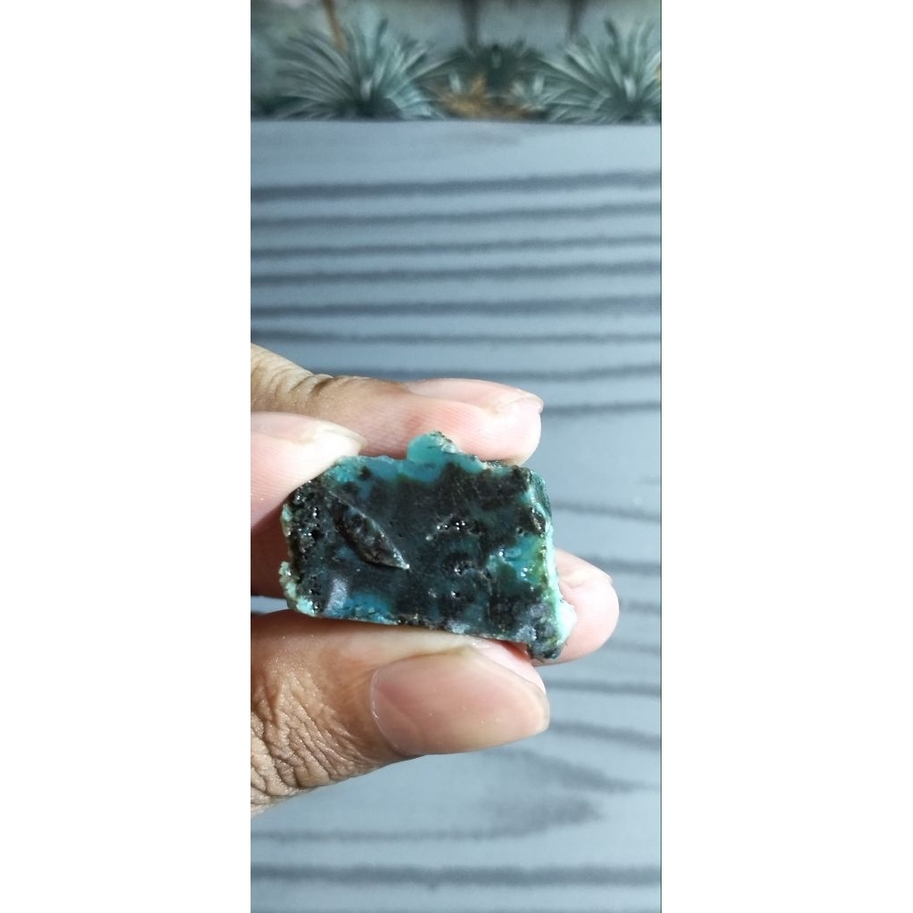 Bacan Doko Coklat