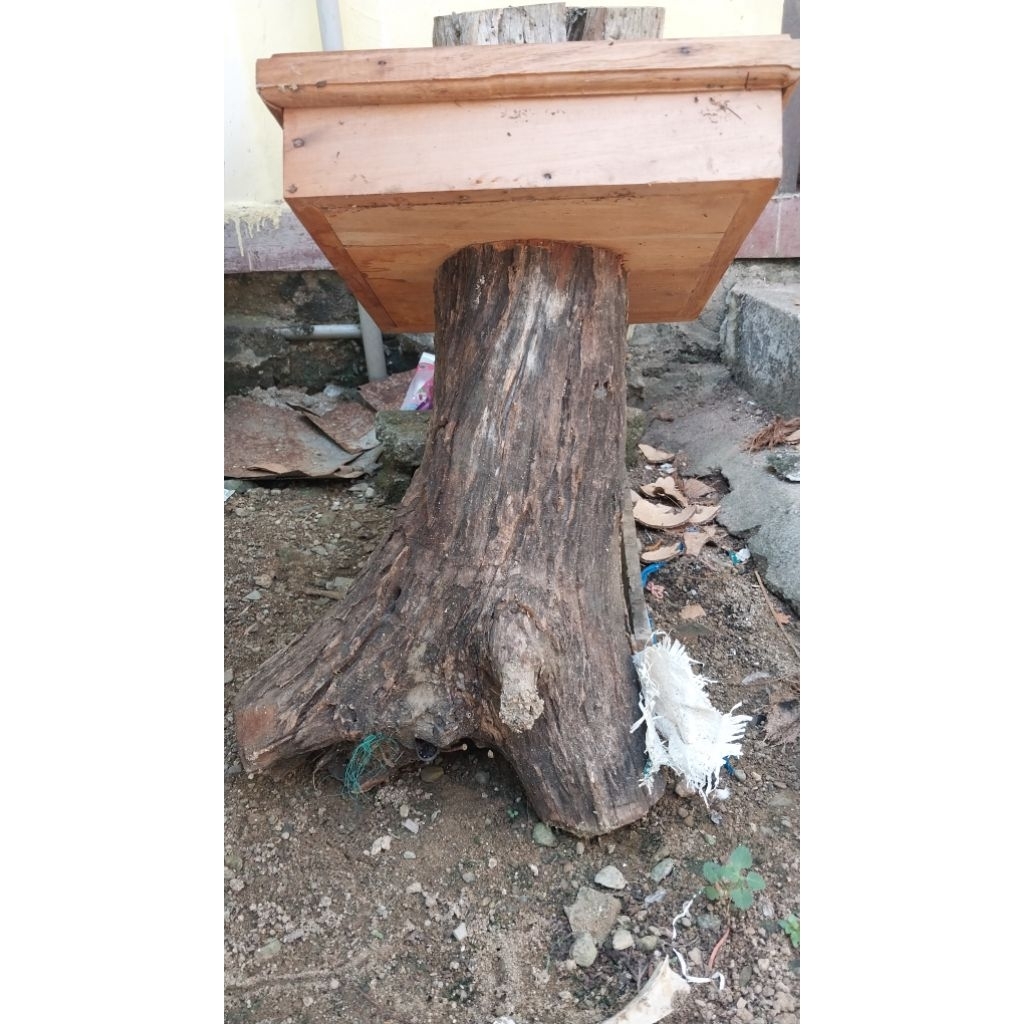 LEBAH KLANCENG JENIS BIROI LOG TOPING BAHAN KAYU JATI