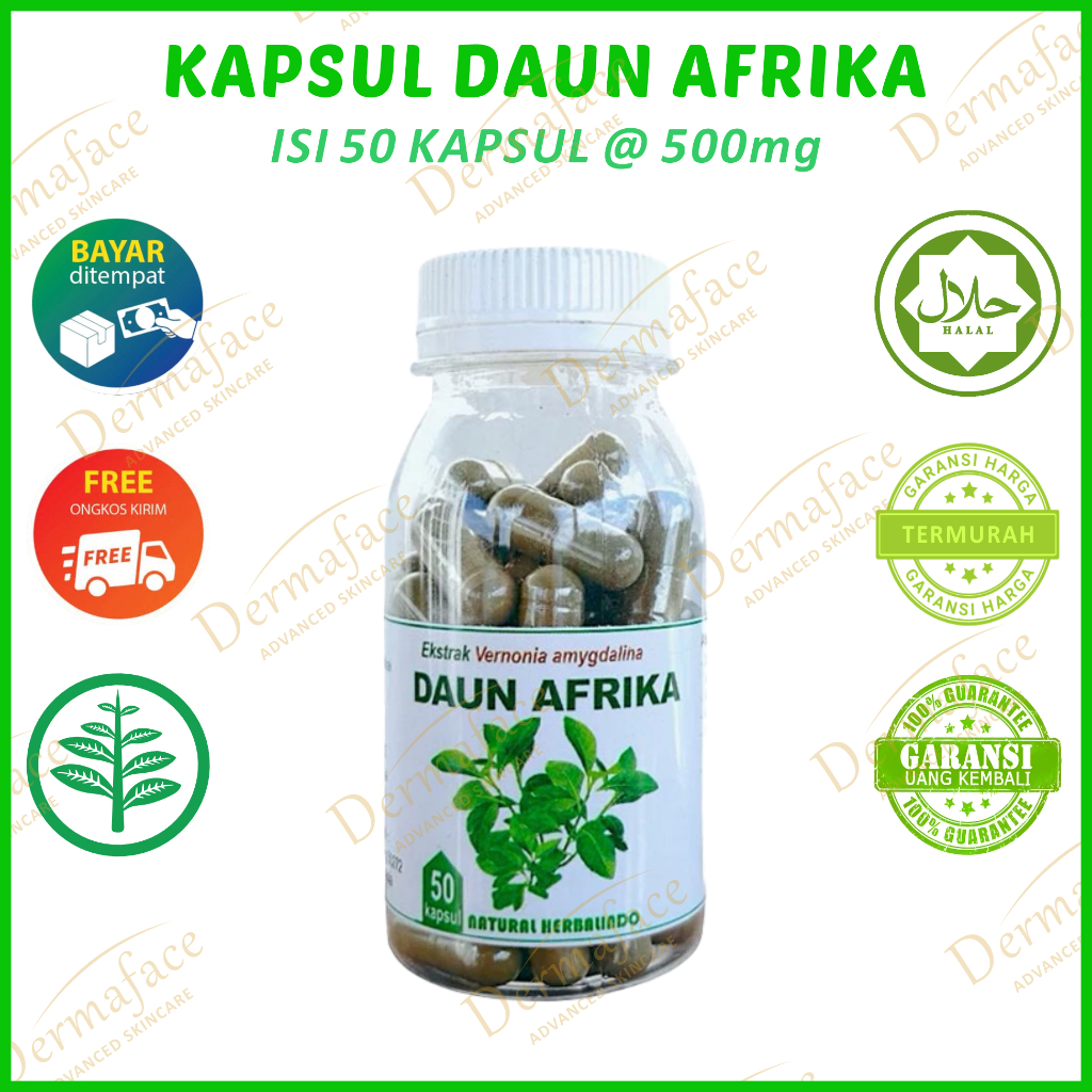 Daun afrika isi 50 kapsul herbal stroke obat stroke jamu kolesterol hipertensi kebas kesemutan mati 