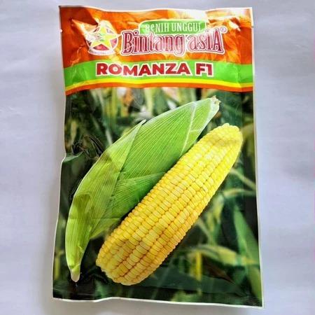 PROMO MENARIK <><> 250 Gram Benih Jagung Manis Manise Bintang Asia - Tahan Simpan, Tumbuh Seragam, R