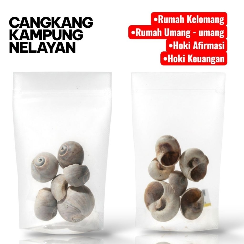 CANGKANG KELOMANG// HOKI REJEKI //HOKI AFIRMASI//RUMAH KELOMANG // CANGKANG KELOMANG//