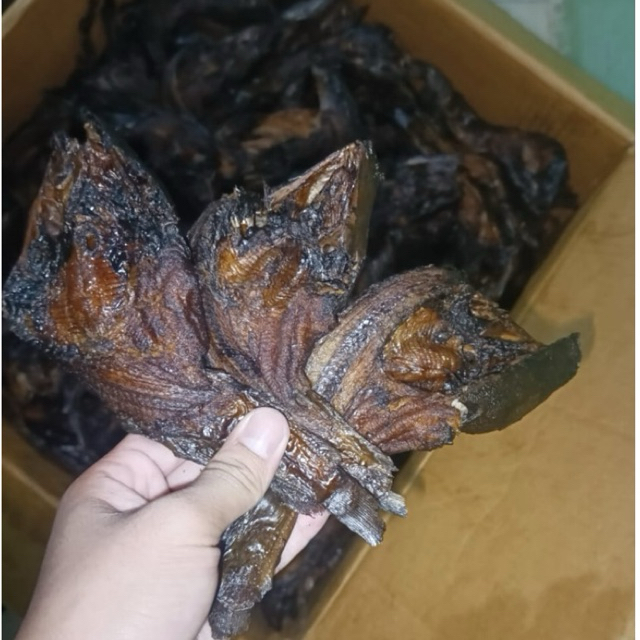 Ikan sale lele limbat marancar 3ons