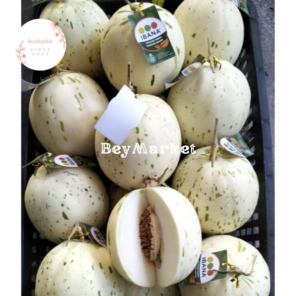 Melon Dalmatian Korea Manis Lembut | Melon Dalmation | Pcs