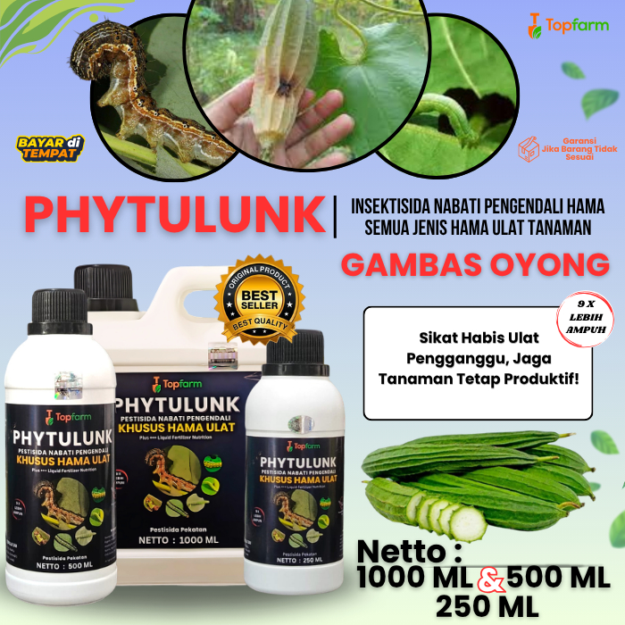 Obat Pembasmi Hama Ulat Gambas / Pembasmi Ulat Daun Oyong / Pestisida Pengendali Hama Ulat Buah Gamb