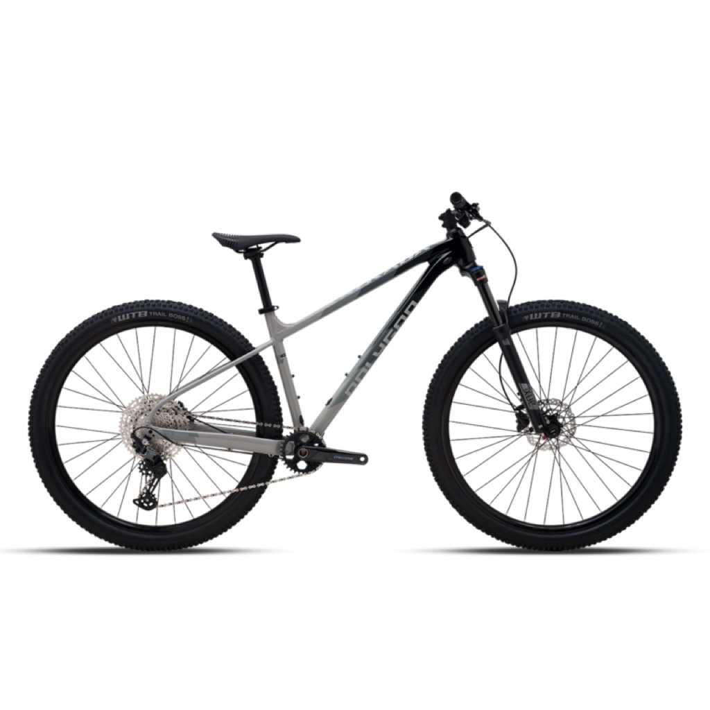 sepeda polygon xtrada 7 grey