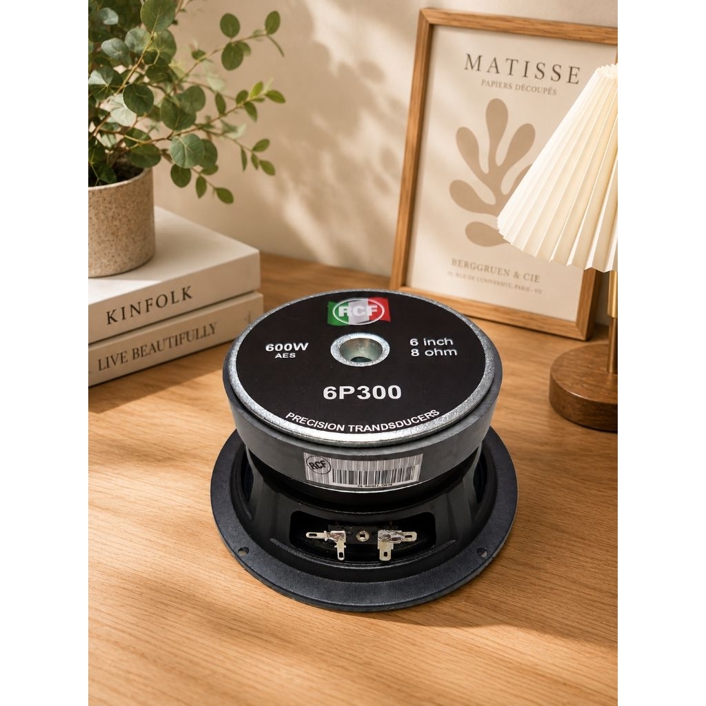 speaker 6 inch RCF 6P300 ITALY ORIGINAL/speaker 6 inch rcf 6p300 original