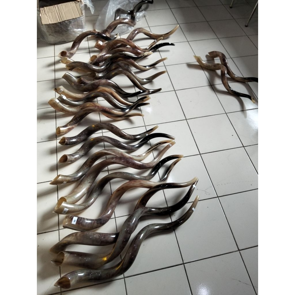 shofar