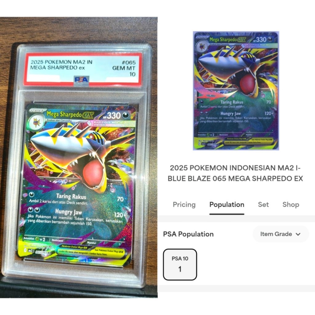 pokemon sharkpedo PSA