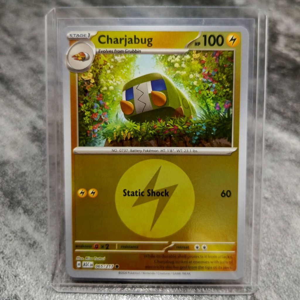 kartu pokemon asli original TCG english Charjabug holo mirror sudah dapat toploader | kami juga jual