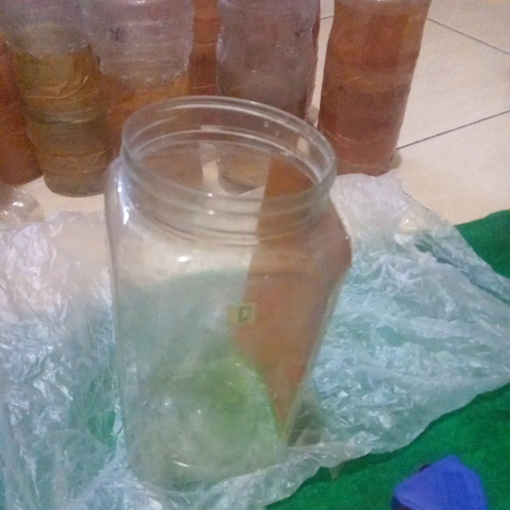 toples 2L ct hulk