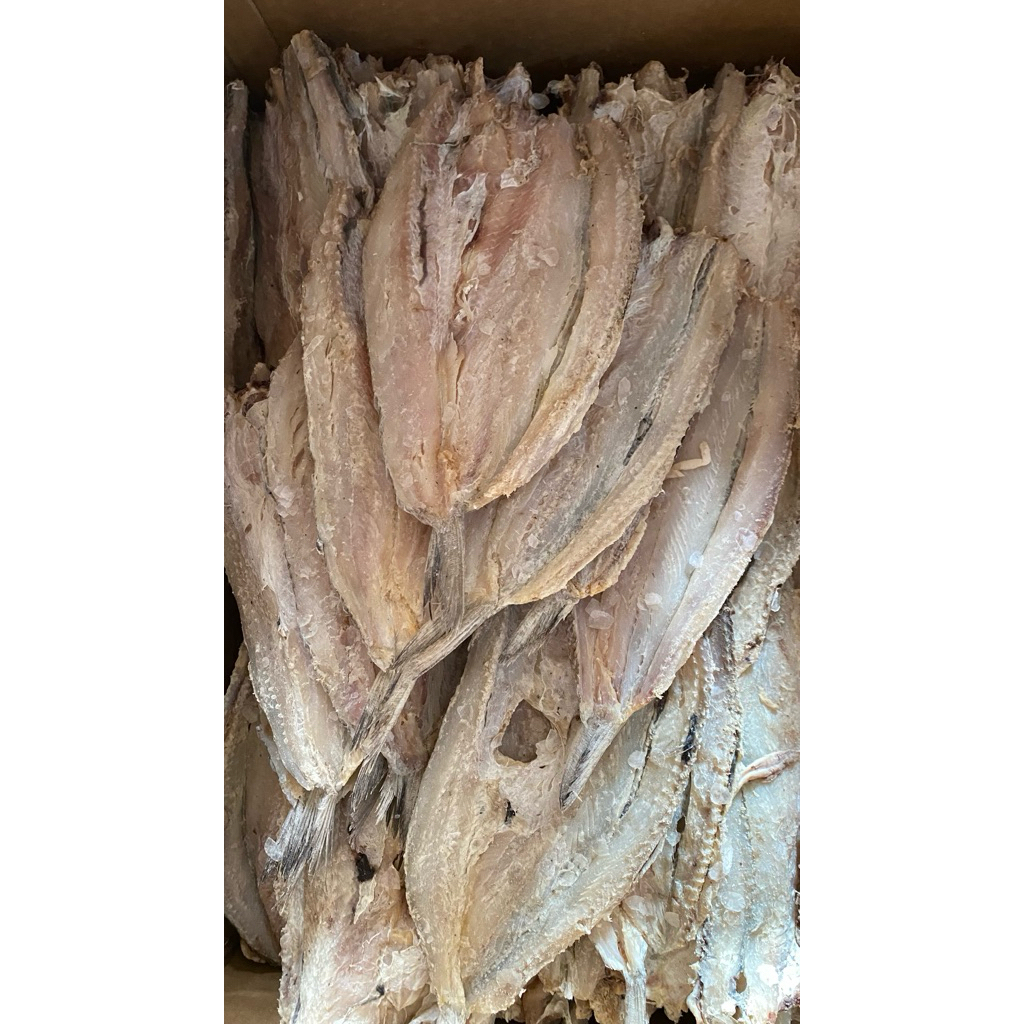 IKAN ASIN BLOSO/IKAN GABUS LAUT